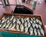 Great Place for a Fishing Excursion or a Tranquil, Relaxing Getaway!