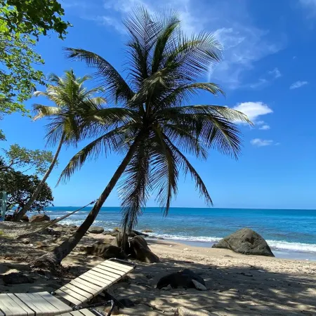 The Beach House on St. Thomas with Secluded Private Sand Beach