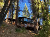 RIVER VIEW Yosemite Cabin in Wawona among the Redwoods,3 Bed 2 bath, jump rock!