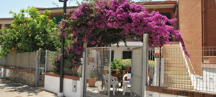 La Bouganville Studio 200 m from the Sea Hotels in Sperlonga