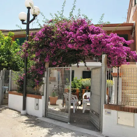 La Bouganville Studio 200 m from the Sea