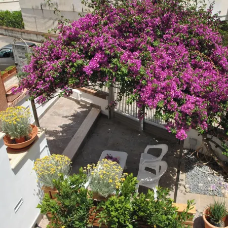 La Bouganville Studio 200 m from the Sea