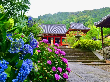 Temple Town Hotel Waqoo Horyuji