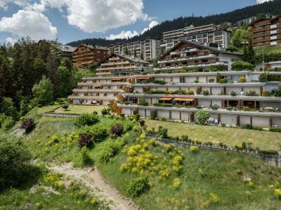 Terrasse des Alpes 618