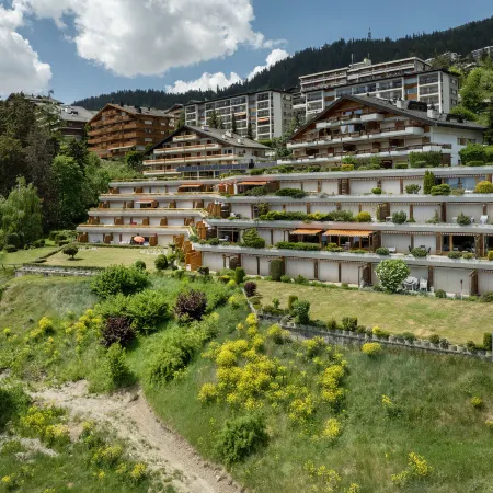 Terrasse des Alpes 618