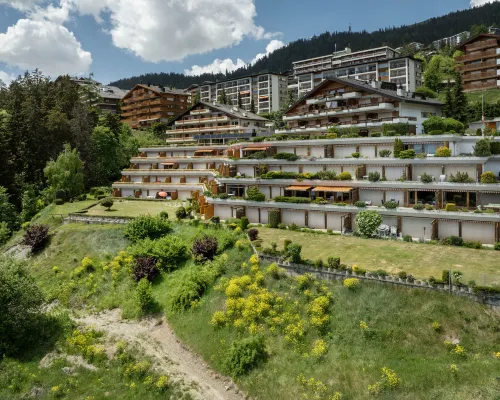 Terrasse des Alpes 618 시에르 호텔
