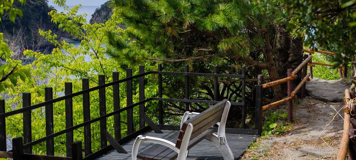 Shizentenyu Hotels in Kamo District