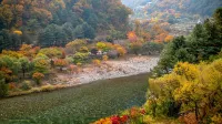 Gapyeong Newcastle Pension - parking