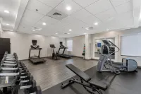Hampton Inn Dublin - Træningscentre