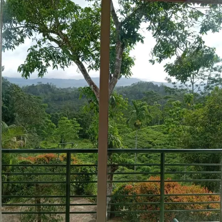 Rainforest Lodge, Deniyaya Singheraja