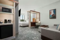 سبرنجهيل سويتس إيرفين جون واين أيربورت/أورانج كاونتي - 3-نجوم
