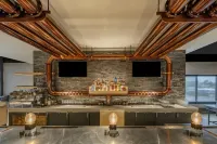 The Wildbirch Hotel - JdV by Hyatt - Boutique