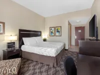 Best Western Plus Travel Hotel Toronto Airport Hotels near Dixie