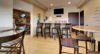 Cobblestone Inn & Suites - Fort Dodge - parking