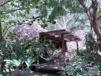 Playa Pikua Ecolodge - Lodges