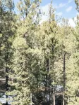Ricks Mountain Retreat - Mountain view