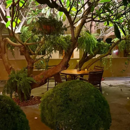 Savana Park Hotel