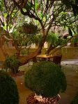 Savana Park Hotel - Wifi