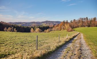 Ferienwohnungen Wald Und Wiese