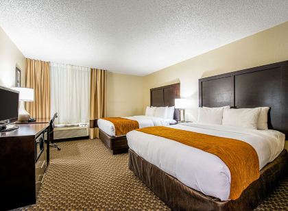 Comfort Inn Matteson - Chicago