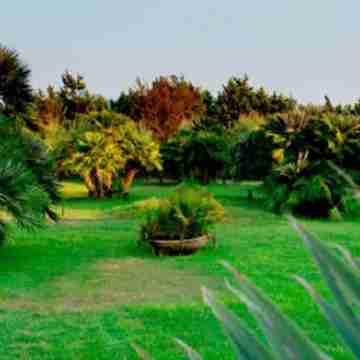 Hotel Oasi di Kufra Hotel Exterior