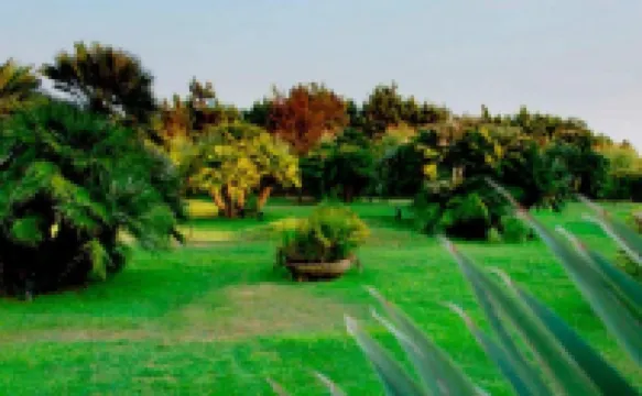 Hotel Oasi di Kufra
