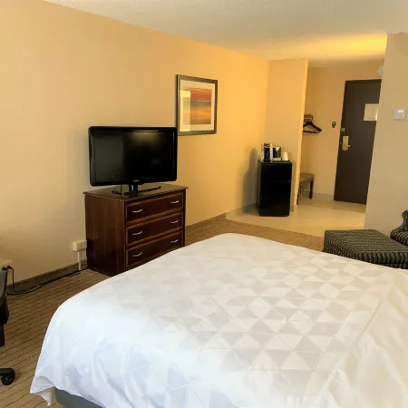 Holiday Inn & Suites CHICAGO-CAROL STREAM (WHEATON) by IHG