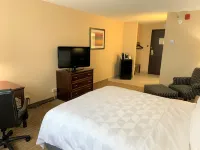 Holiday Inn & Suites Chicago-Carol Stream (Wheaton) Hotels in Carol Stream