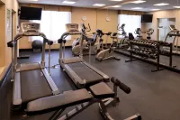 Holiday Inn Express & Suites HALIFAX AIRPORT by IHG - Spor Salonu
