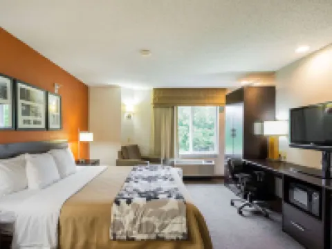 Sleep Inn & Suites Hotels in Vermilion County