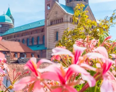 Hotel Domhof Hotels in Speyer