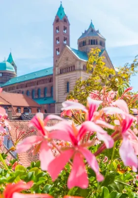 Hotel Domhof Hotels near Speyer Cathedral