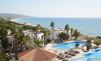 a hotel with a large pool surrounded by palm trees and chairs , located near the beach at Insotel Hotel Formentera Playa