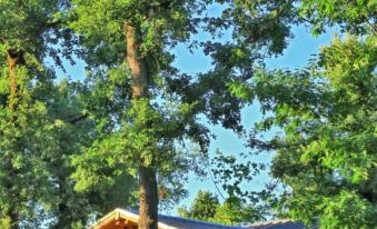 Albirondack Camping Lodge & Spa