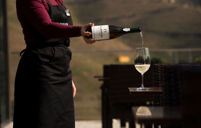 Vila Gale Douro Vineyards
