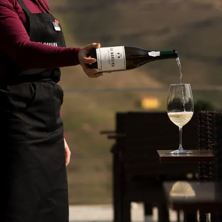 Vila Gale Douro Vineyards