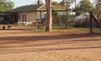 Lightning Ridge Outback Resort & Caravan Park