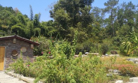 Lan xuan xiao zhu min su - Housity
