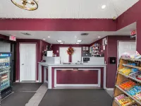 康坦普拉旅館 肯納住宿飯店