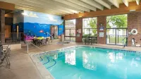 Doubletree by Hilton Ann Arbor North - Swimmingpools