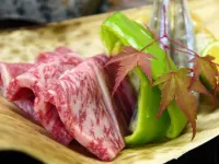 Hotel Taiko, Akakura Onsen