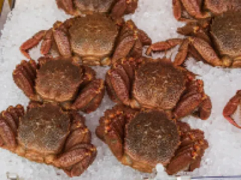 Hotel All in Stay Hakodate Hotels in Hakodate