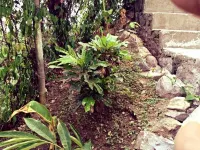 Apartment Soleil- Because Location Really is Everything! Hotels near Têt Paul nature trail gift shop