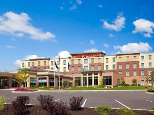 Hilton Garden Inn Ann Arbor