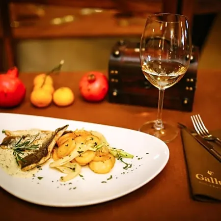 Hotel Gallus