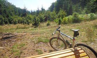 Landgasthof Zur Post, Hochwälder Radstation