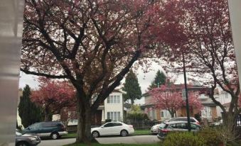 Lee Home Vancouver 2025 Latest - 0226r12000a5ztmluCD97 R 339 206 R5 D