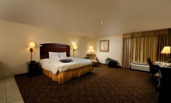 Hampton Inn & Suites Gallup