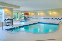 Hilton Garden Inn Toronto/Burlington - Pools