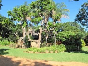 Caracal Lodge